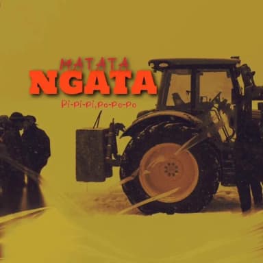 Ngata cover art