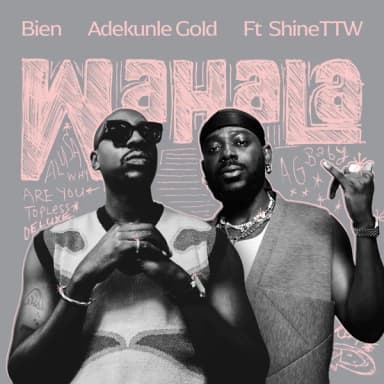Wahala cover art
