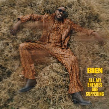 All My Enemies Are Suffering cover art