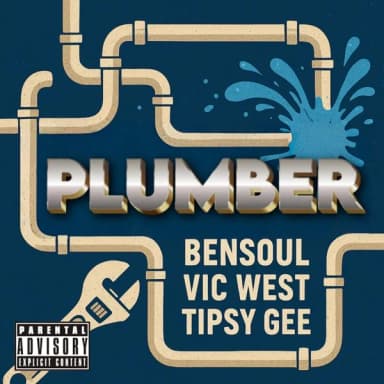 Plumber cover art