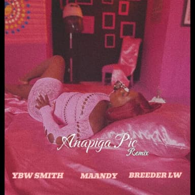 Anapiga Pic (Remix) cover art