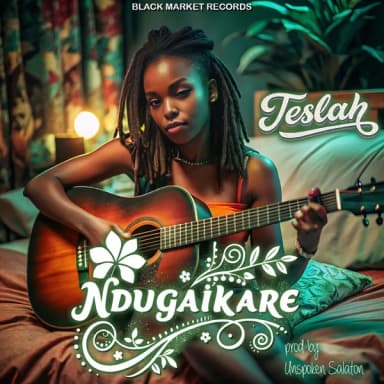 Ndugaikare cover art
