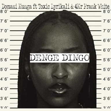 Denge Dingo cover art